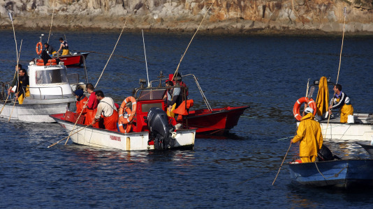 Imagen de archivo de mariscadores en la zona del castillo de San Felipe